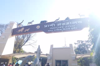Kamla Nehru zoological museum