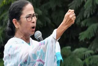 tmc supremo mamata banerjee