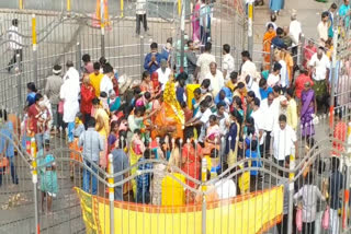 Devotees flock to Medaram to see the nymphs