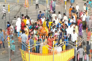 Devotees flock to Medaram Jatara