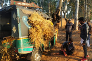 अनियंत्रित ऑटो पेड़ से टकराई