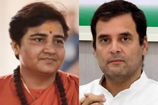 MP Pragya Thakur commented on rahul gandhi