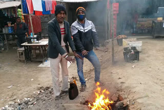 cold in purnea