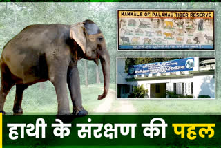 palamu-tiger-reserve-initiative-to-conserve-elephants-in-palamu