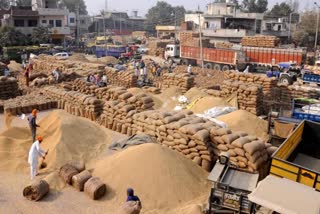 paddy procurement bihar