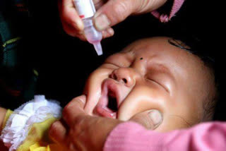 Pulse polio vaccination