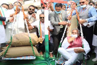 Congress workers weighed CM Baghel with paddy on Chherchhera in kanker