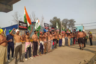 seminude farmers protesting at tikri border