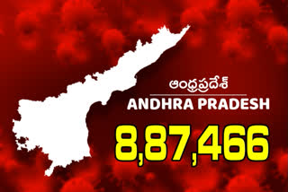 corona cases update in andhra pradesh