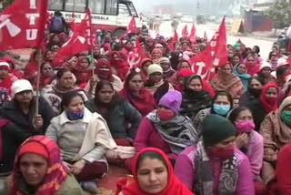 asha workers protest anil vij residence