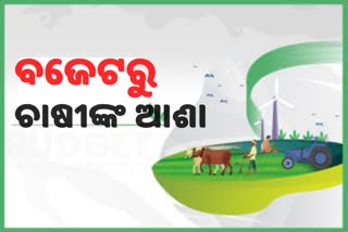 ବଜେଟରୁ କଣ ଚାହାଁନ୍ତି ଅନ୍ନଦାତା, ଶୁଣନ୍ତୁ ସେମାନଙ୍କ ମୁହଁରୁ