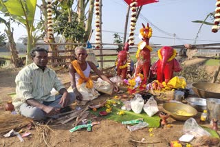 নেপুরাতে হাতি ঠাকুর পুজো । দেখুন ভিডিয়ো...