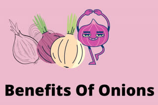 Benefits Of Onions During Winters