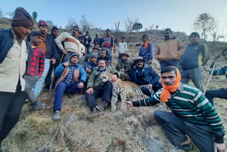 sharp-shooters-of-himachal-killed-leopard-in-uttarakhand