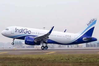 IndiGo reports Rs 620 crore loss in Q3 as revenue drops to half