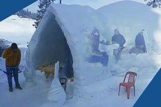 igloo cafe