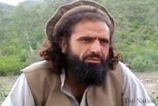 pak terrorist, afganistan