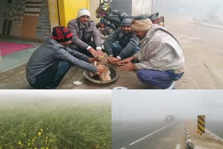 affected life in dholpur  dholpur news  सर्दी का सितम  धौलपुर में मौसम  राजस्थान का मौसम  weather update news  weather news  धौलपुर में कोहरा