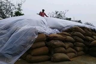 paddy-procurement-center-paddy-got-wet-due-to-rain-in-janjgir