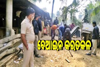 illegal sawmill in balasore