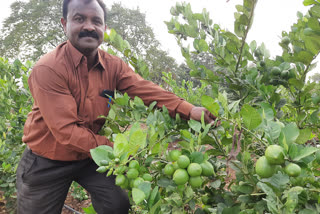 Farmer