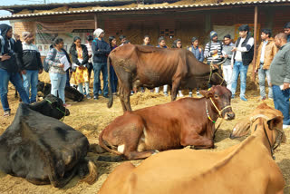 Nalanda Farming