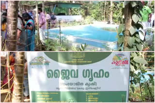 Kannur ready for agricultural boom; 800 integrated plantations in the district  Kannur ready for agricultural boom  00 integrated plantations in the district  Kannur  കാര്‍ഷിക മേഖലയില്‍ കുതിപ്പിനൊരുങ്ങി കണ്ണൂര്‍; ജില്ലയില്‍ 800 സംയോജിത കൃഷിതോട്ടങ്ങള്‍  കാര്‍ഷിക മേഖല  കണ്ണൂര്‍  800 സംയോജിത കൃഷിതോട്ടങ്ങള്‍  സംയോജിത കൃഷി