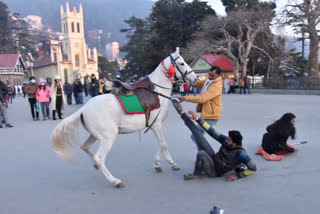 Tourists fell down from horse in Shimla