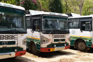 Buses will run on hundred percent route