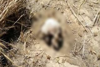 Stuck due to finding of male skeleton in Neemuch village Barkhedamina