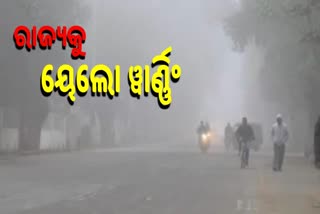 yellow weather warning issued by bhubaneswar meteorological department due to dense fogg