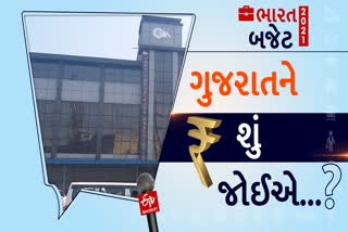 કેન્દ્રીય બજેટમાં MSME સેક્ટર માટે લાભદાયક જાહેરાતો કરવામાં આવે તેવી વાપીના ઉદ્યોગકારોને આશા અને અપેક્ષા