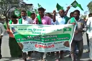 Farmers protest in raichur