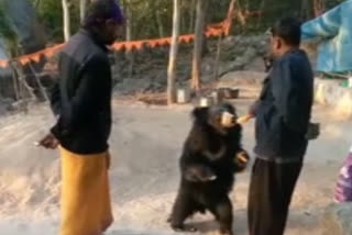 Wild bears visit temple to savor Prasadam in Odisha