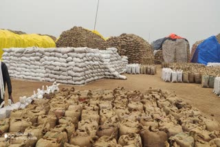 purchase-more-than-17-lakh-quintals-of-paddy-from-3-thousand-farmers-in-sarguja