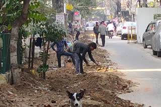 Work is going on for water harvesting in Dilshad Colony