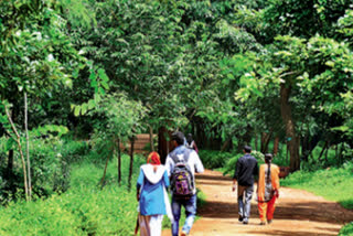 Committee On ECO Tourism Projects in ap