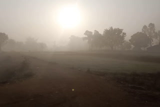 fog in the street