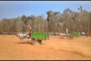 hackery race in mandya