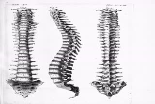 awareness about spinal injuries