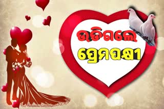 ରାଜସ୍ଥାନ ପୁଅ ସହ ଫେରାର ଓଡିଶା ଝିଅ, ଉଭୟ ଥାନାରେ ଅଟକ