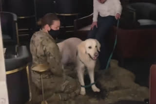 National Guard troops surprised by visit from dogs