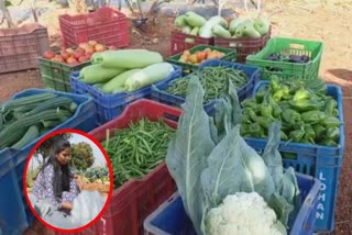 Young woman leaves job for Organic farming