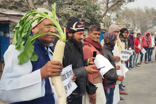 Human chain in begusarai