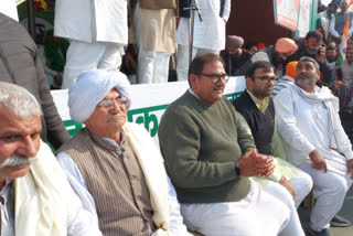 abhay chautala rakesh tikait