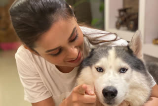 Mimi chakrabarty dog max