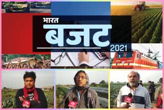 Delhi Farmers expect good budget due to Budget 2021