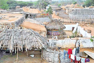 panchayath elections