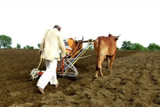 district administration allocates crop loan to farmer for kharif season