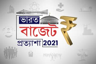 expectations of citizens over union budget 2021